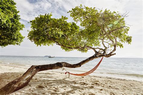 schwänze am strand|Voll nackt beim Masturbieren und Kommen am Strand erwischt